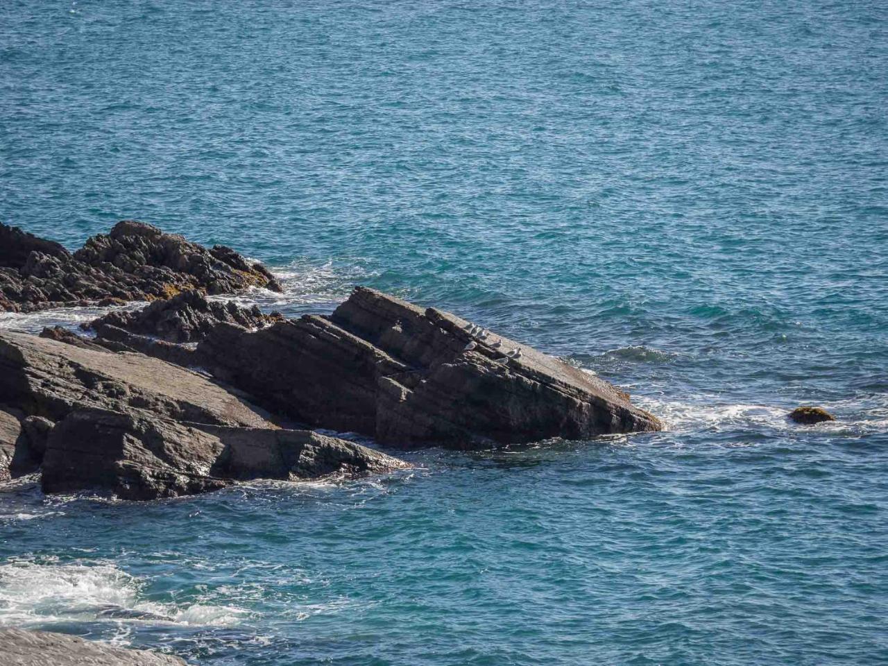 Unda De Ma Sea View Terrace Apartment Vernazza Exterior photo
